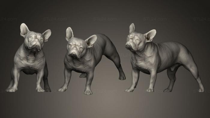 Статуэтки животных (СОБАКА, STKJ_0241) 3D модель для ЧПУ станка